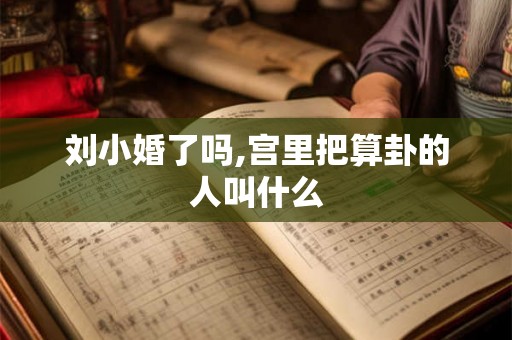 刘小婚了吗,宫里把算卦的人叫什么