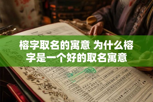 榕字取名的寓意 为什么榕字是一个好的取名寓意