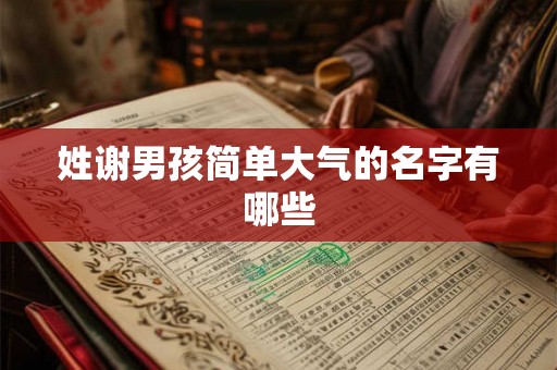 姓谢男孩简单大气的名字有哪些