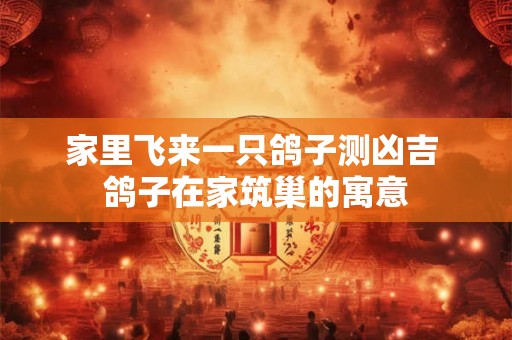 家里飞来一只鸽子测凶吉 鸽子在家筑巢的寓意