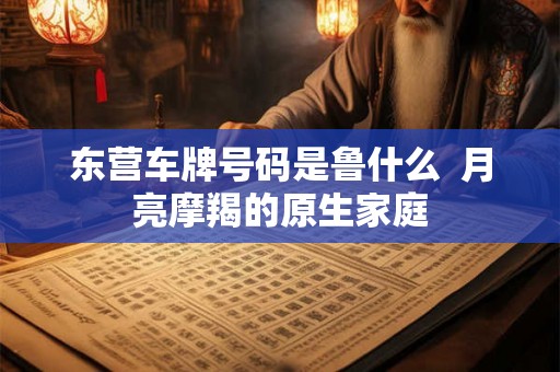 东营车牌号码是鲁什么  月亮摩羯的原生家庭