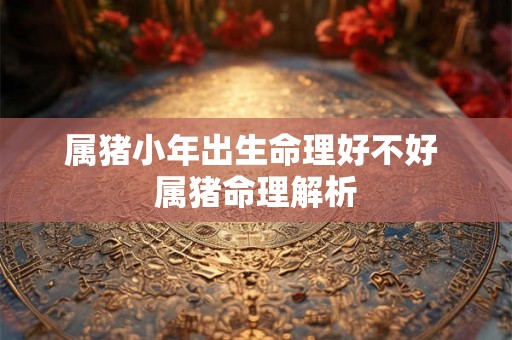 属猪小年出生命理好不好 属猪命理解析