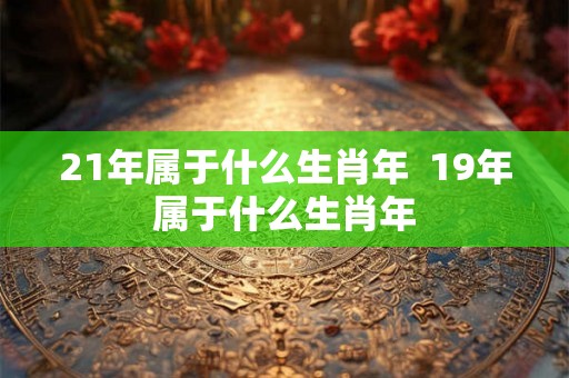 21年属于什么生肖年  19年属于什么生肖年