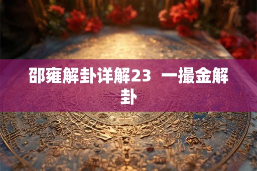 邵雍解卦详解23  一撮金解卦
