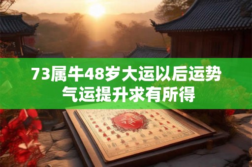 73属牛48岁大运以后运势 气运提升求有所得