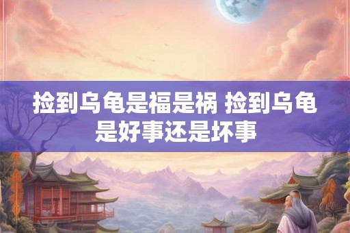 捡到乌龟是福是祸 捡到乌龟是好事还是坏事