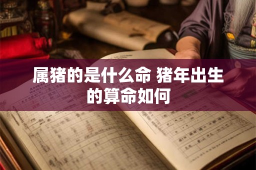 属猪的是什么命 猪年出生的算命如何