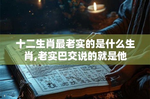 十二生肖最老实的是什么生肖,老实巴交说的就是他