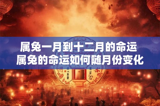 属兔一月到十二月的命运 属兔的命运如何随月份变化