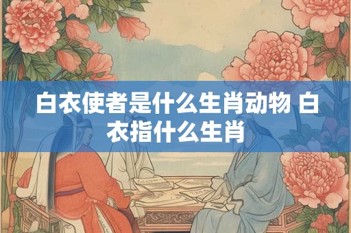 白衣使者是什么生肖动物 白衣指什么生肖