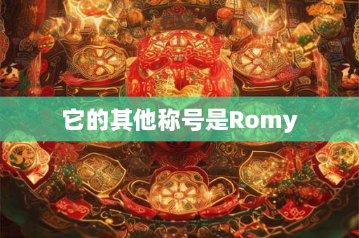 它的其他称号是Romy