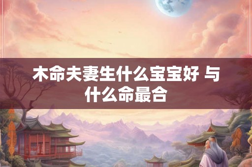 木命夫妻生什么宝宝好 与什么命最合