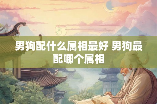 男狗配什么属相最好 男狗最配哪个属相