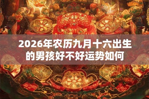 2026年农历九月十六出生的男孩好不好运势如何