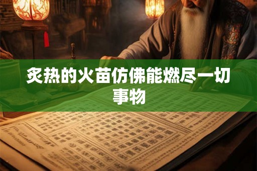 炙热的火苗仿佛能燃尽一切事物 炙热的火苗仿佛能燃尽一切事物