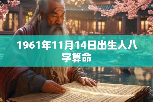 1961年11月14日出生人八字算命