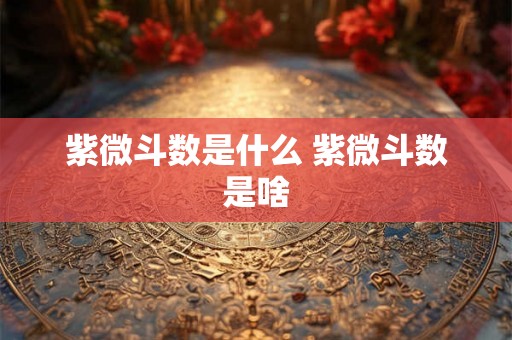 紫微斗数是什么 紫微斗数是啥