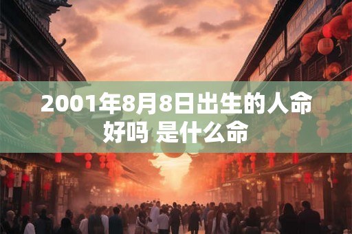 2001年8月8日出生的人命好吗 是什么命
