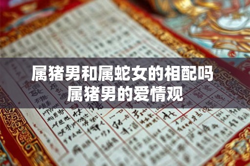 属猪男和属蛇女的相配吗 属猪男的爱情观 属猪男和属蛇女的相配吗 属猪男的爱情观