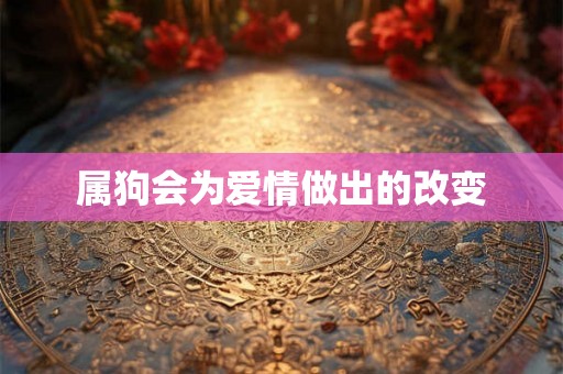 属狗会为爱情做出的改变