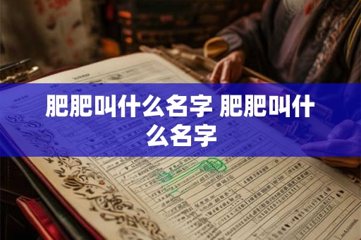 肥肥叫什么名字 肥肥叫什么名字