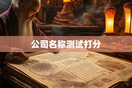 公司名称测试打分