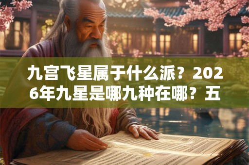 九宫飞星属于什么派？2026年九星是哪九种在哪？五行属什么？