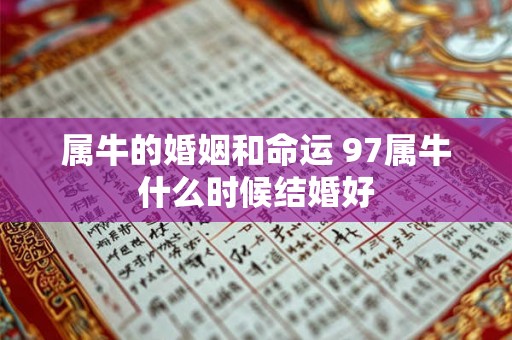 属牛的婚姻和命运 97属牛什么时候结婚好