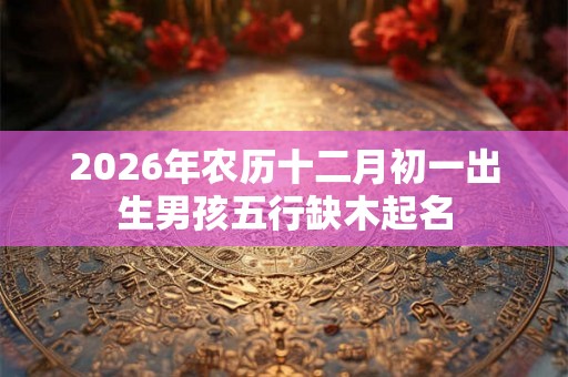 2026年农历十二月初一出生男孩五行缺木起名