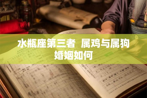 水瓶座第三者  属鸡与属狗婚姻如何