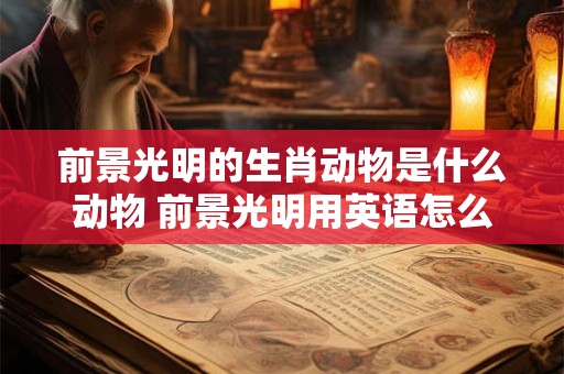 前景光明的生肖动物是什么动物 前景光明用英语怎么说