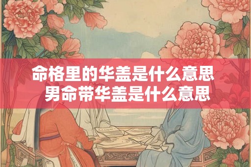 命格里的华盖是什么意思  男命带华盖是什么意思