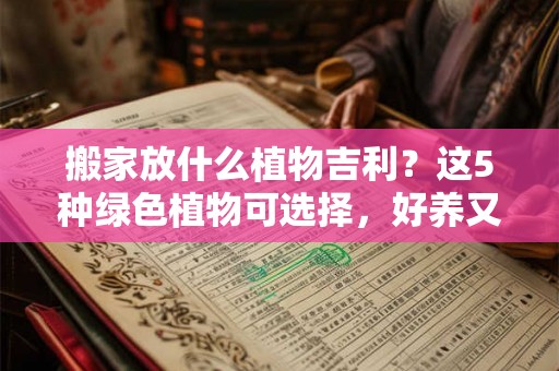 搬家放什么植物吉利？这5种绿色植物可选择，好养又吉利