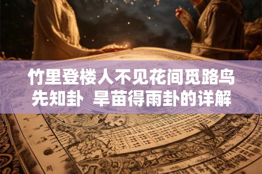 竹里登楼人不见花间觅路鸟先知卦  旱苗得雨卦的详解