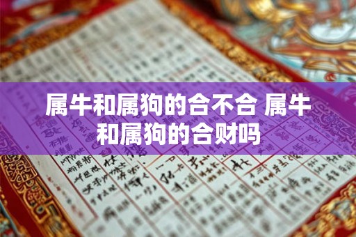 属牛和属狗的合不合 属牛和属狗的合财吗