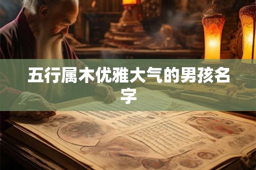 五行属木优雅大气的男孩名字