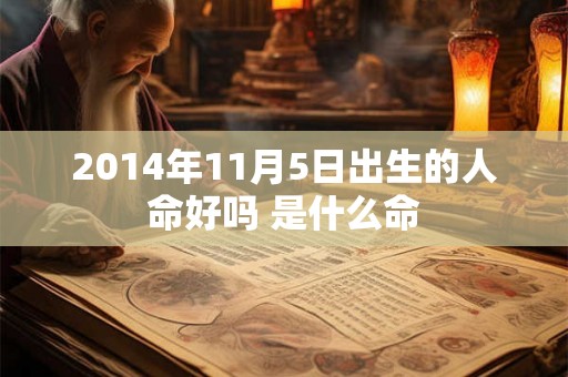 2014年11月5日出生的人命好吗 是什么命 2014年11月5日出生的人命好吗 是什么命