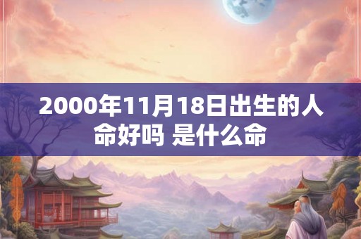 2000年11月18日出生的人命好吗 是什么命