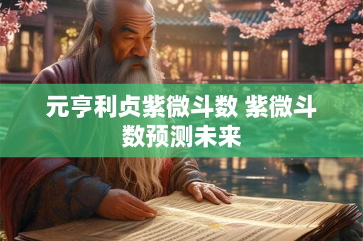 元亨利贞紫微斗数 紫微斗数预测未来 元亨利贞紫微斗数 紫微斗数预测未来
