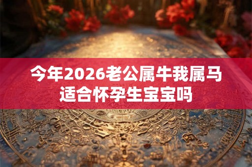 今年2026老公属牛我属马适合怀孕生宝宝吗