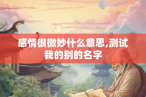 感情很微妙什么意思,测试我的别的名字