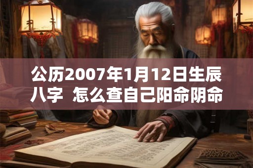 公历2007年1月12日生辰八字  怎么查自己阳命阴命