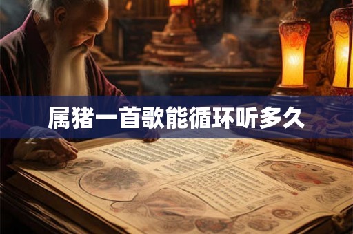属猪一首歌能循环听多久