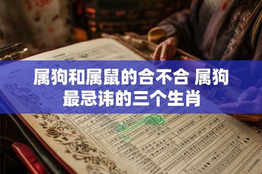 属狗和属鼠的合不合 属狗最忌讳的三个生肖