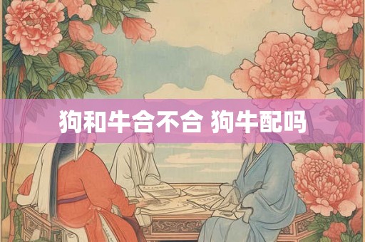 狗和牛合不合 狗牛配吗 狗和牛合不合 狗牛配吗