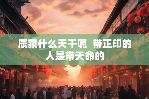 辰藏什么天干呢  带正印的人是带天命的