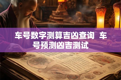 车号数字测算吉凶查询  车号预测凶吉测试