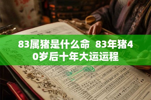83属猪是什么命  83年猪40岁后十年大运运程