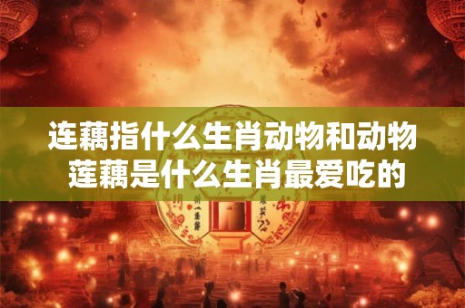 连藕指什么生肖动物和动物 莲藕是什么生肖最爱吃的