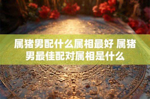 属猪男配什么属相最好 属猪男最佳配对属相是什么 属猪男配什么属相最好 属猪男最佳配对属相是什么